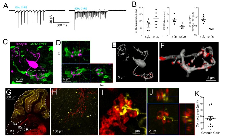 Figure 3—figure supplement 4.