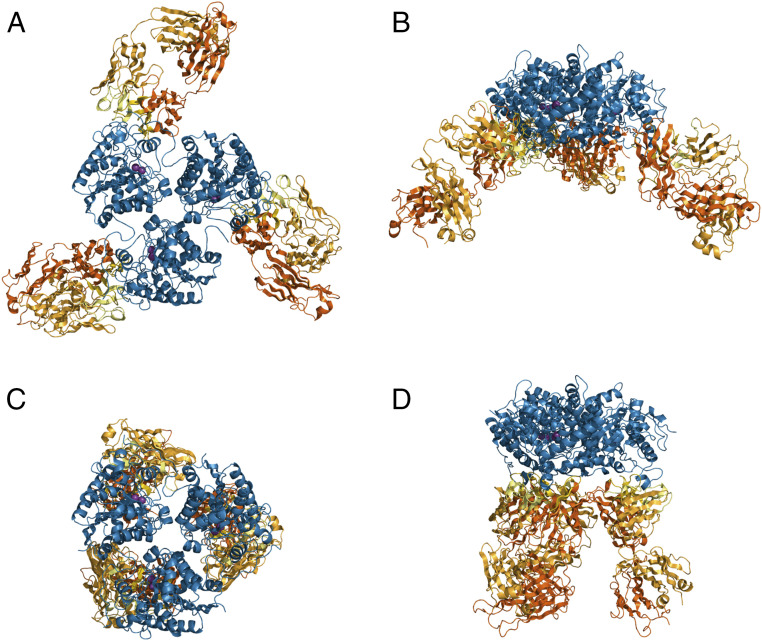 Fig. 7.