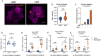 Figure 6: