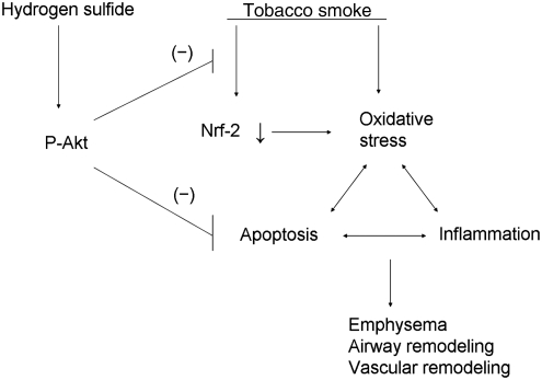 FIG. 11.