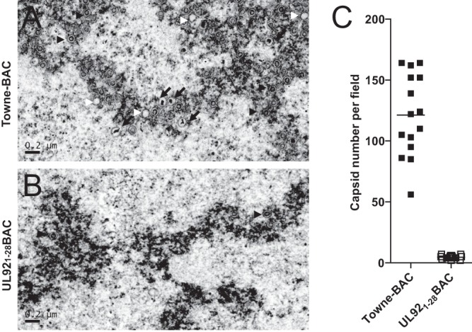 FIG 6