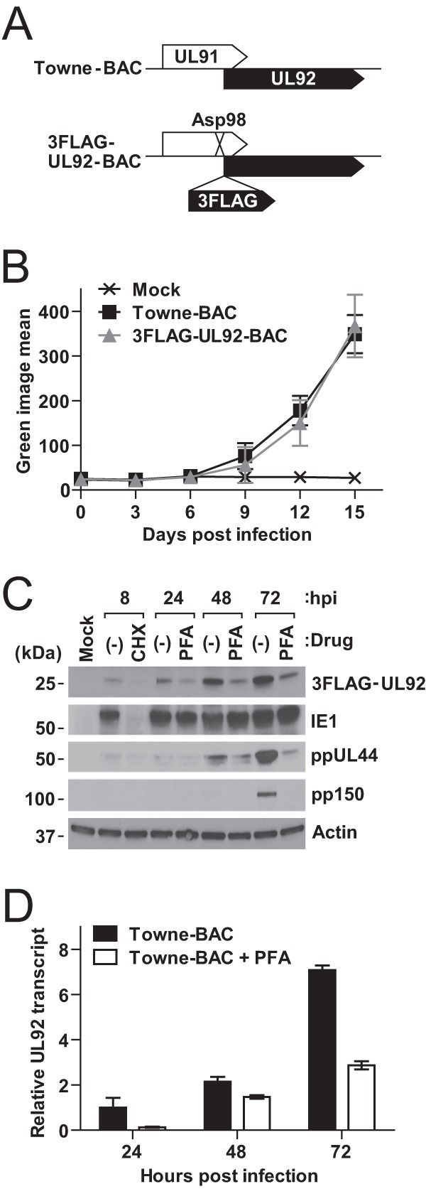 FIG 3