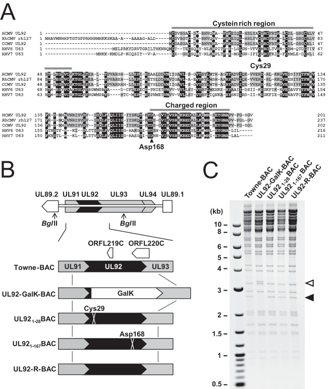 FIG 1