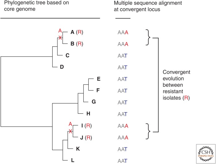 Figure 6.