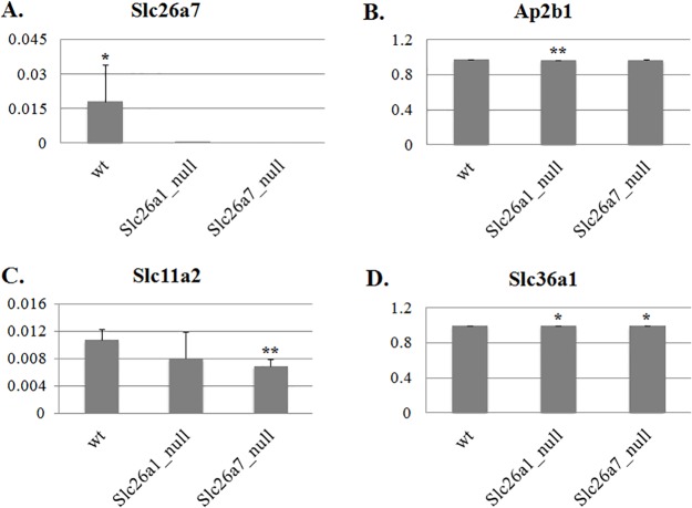 Fig 11