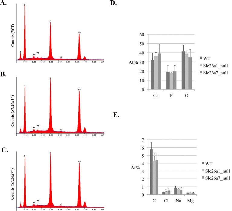 Fig 9