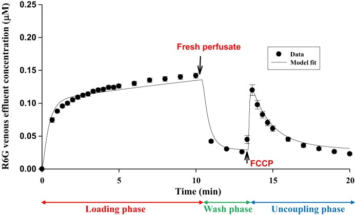 Fig. 6.