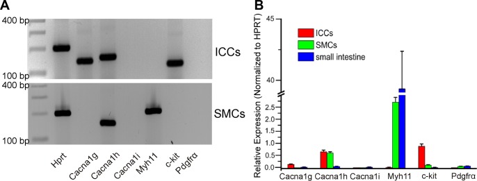 Fig. 7.