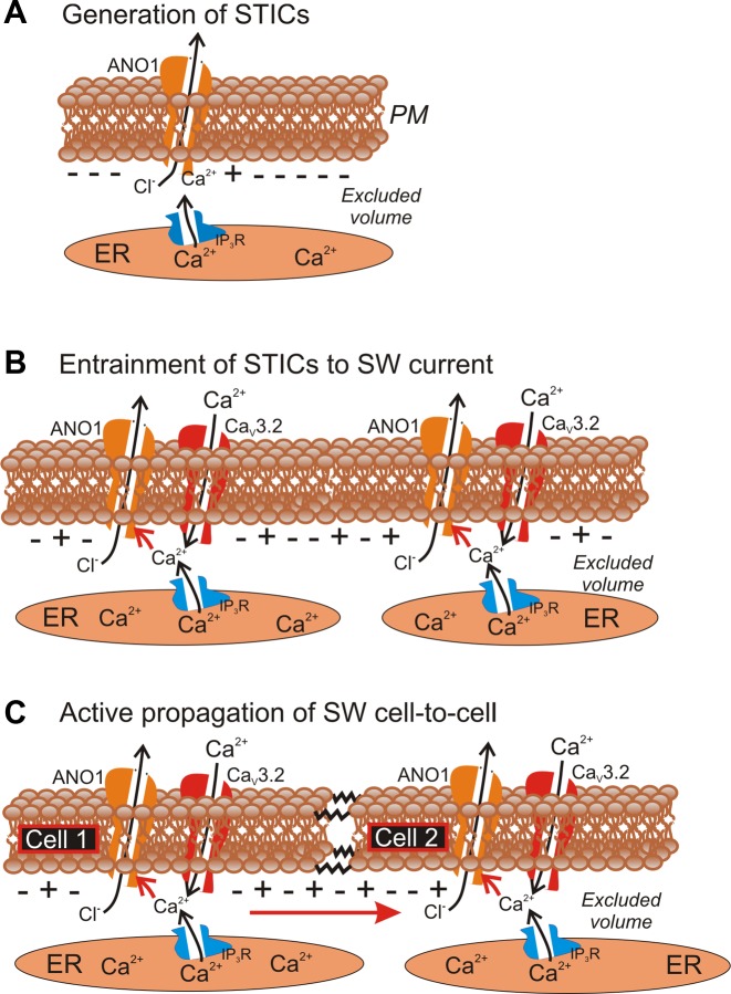 Fig. 9.