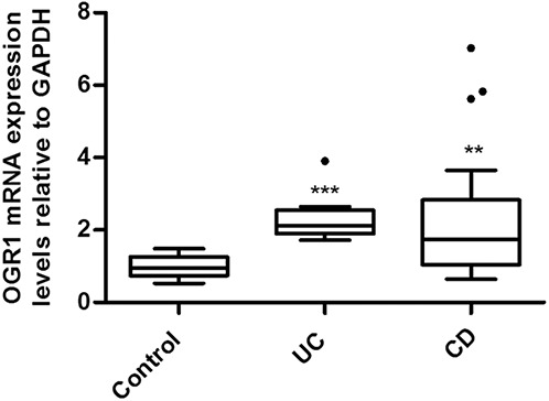 FIGURE 1