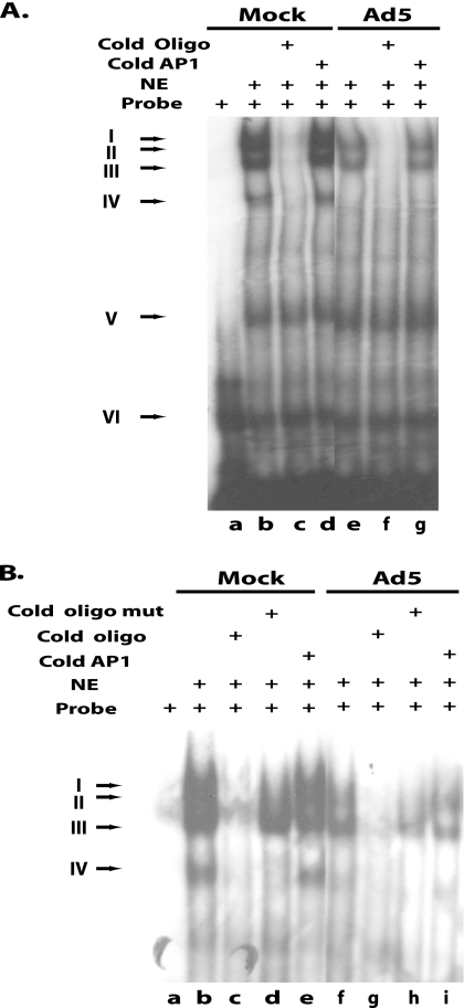 FIG. 6.