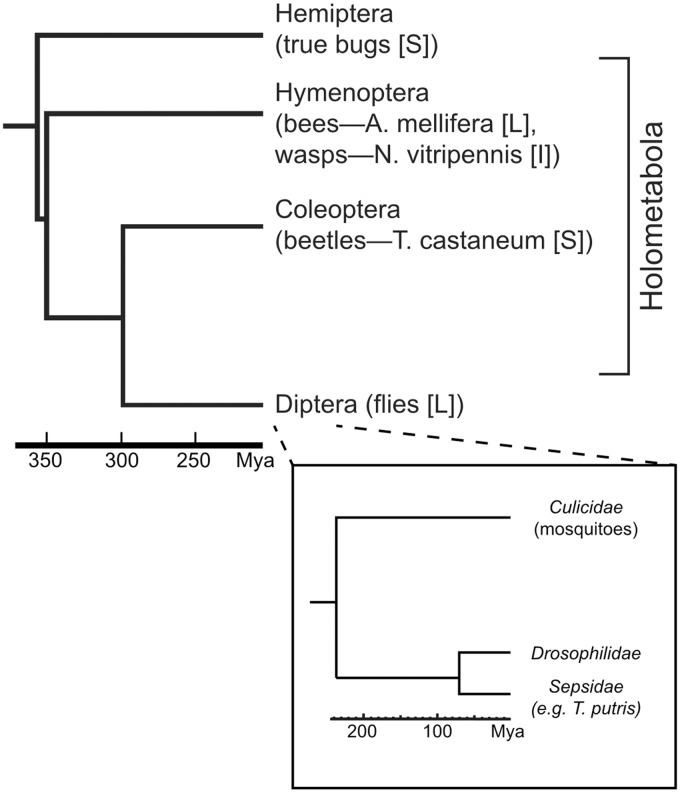 Fig. 1.—