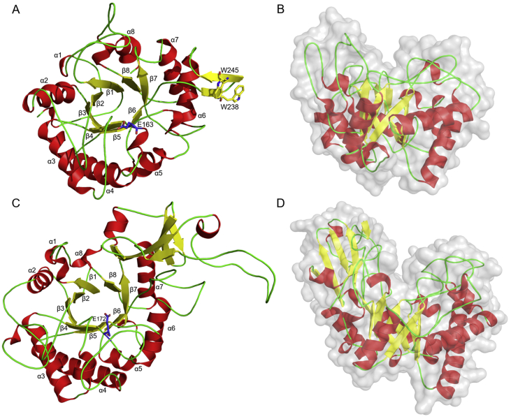 Figure 7