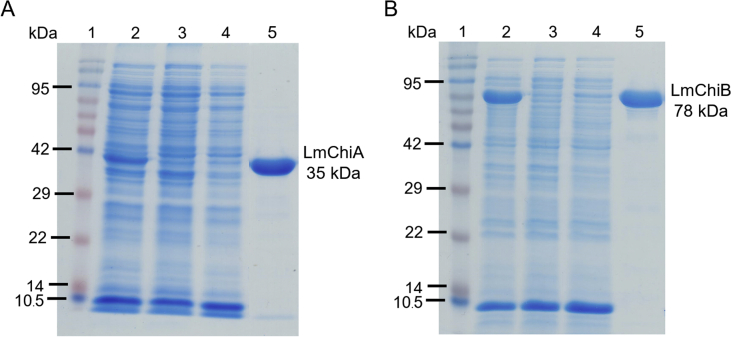 Figure 3