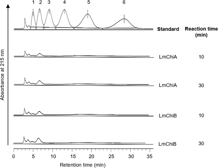 Figure 5