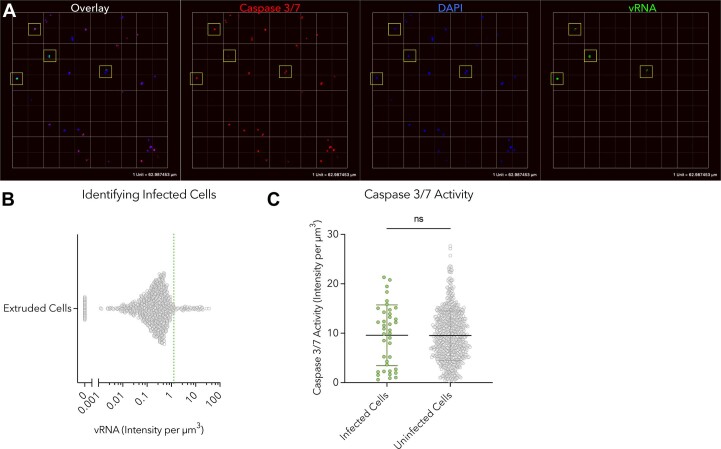 Extended Data Fig. 4