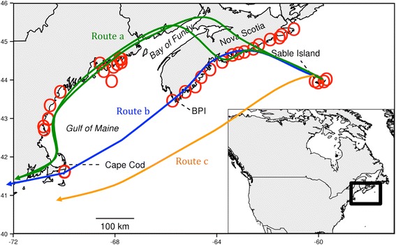 Fig. 1