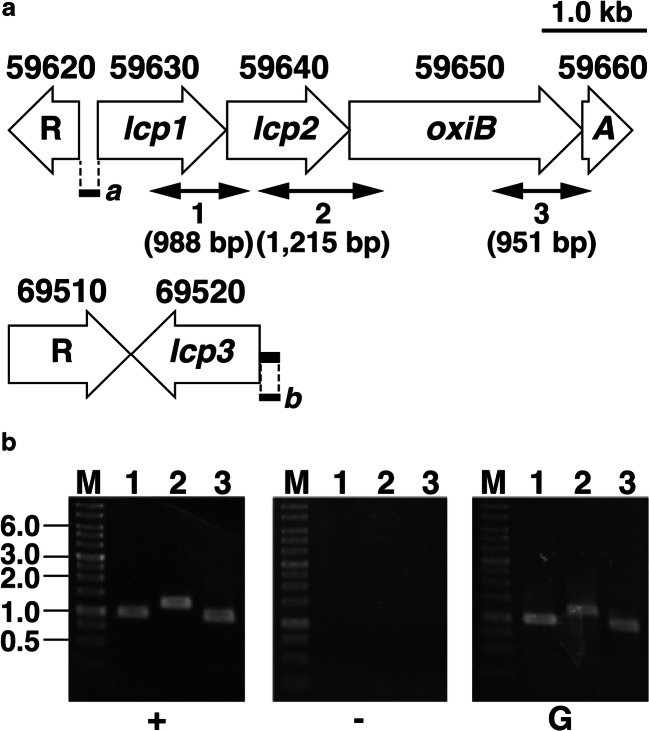 Fig. 2