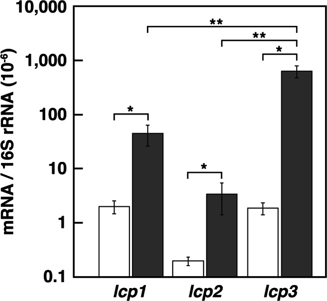 Fig. 4