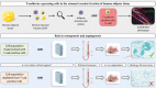 Graphical Abstract