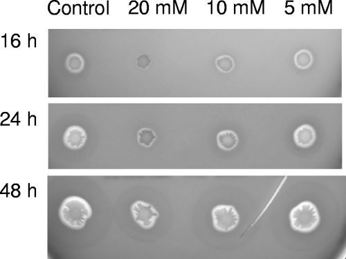 FIG. 7.