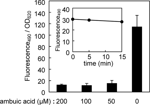 FIG. 5.