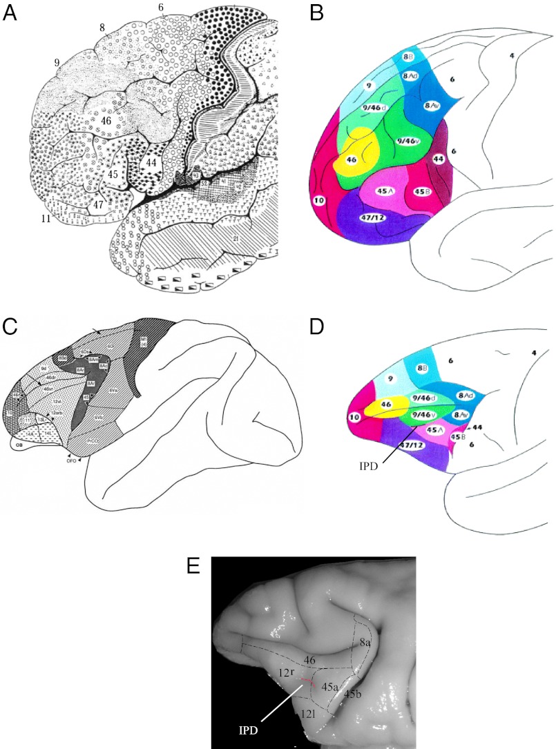 Fig. 1.