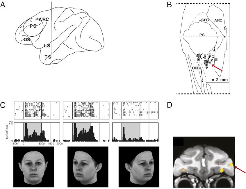 Fig. 3.