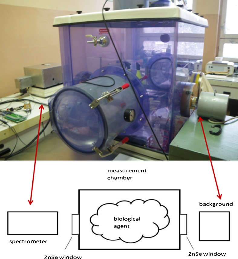 Fig. 3