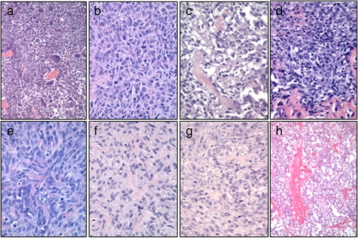 Fig. 8