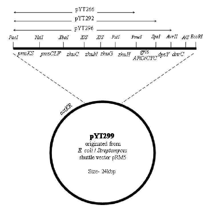 Supporting Information Figure 1