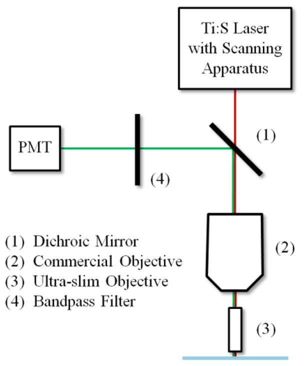 Fig. 5