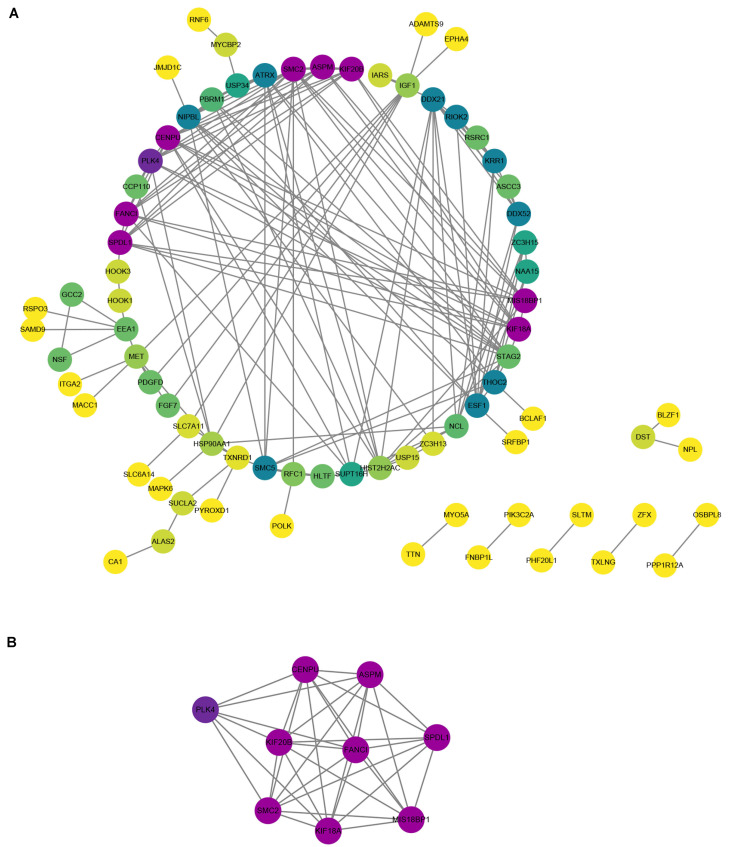 FIGURE 6