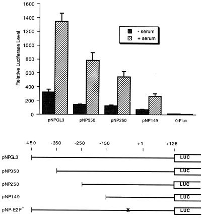 FIG. 4