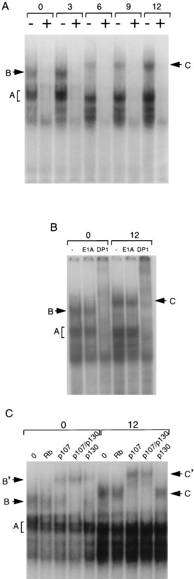 FIG. 7