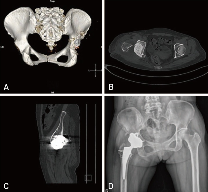 Fig. 10