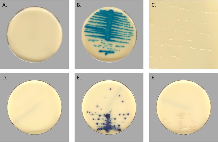 FIG 1