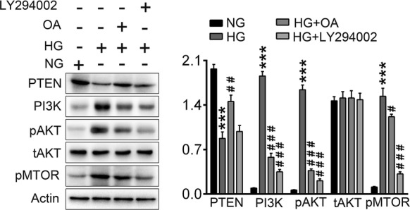 Fig. 7