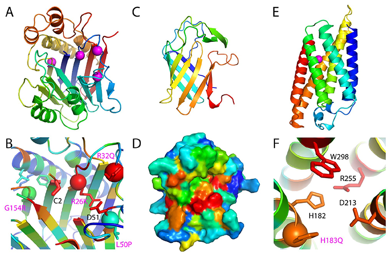 Fig. 3