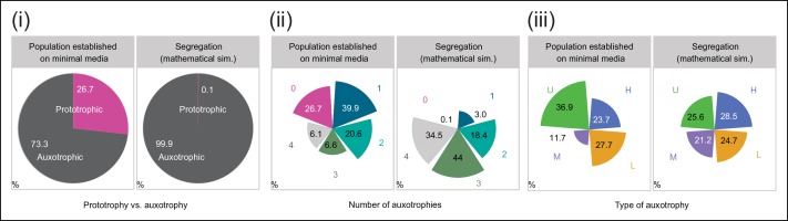 Figure 2—figure supplement 1.