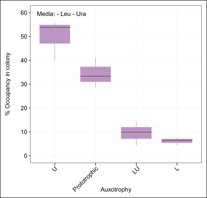 Figure 2—figure supplement 2.