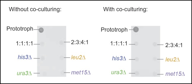 Figure 2—figure supplement 4