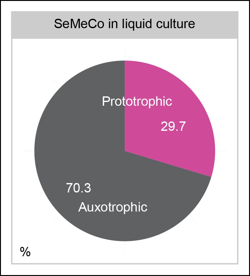 Figure 4—figure supplement 2.