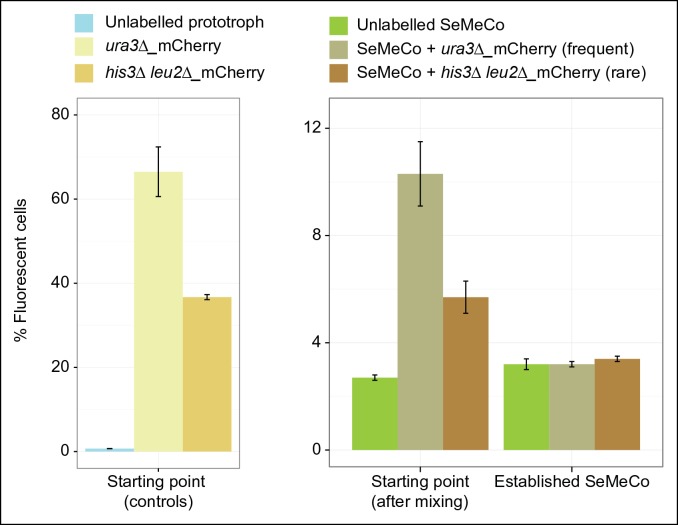 Figure 5—figure supplement 1.