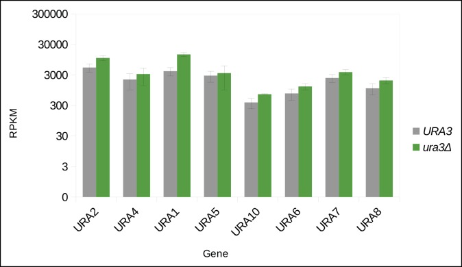 Figure 1—figure supplement 2.