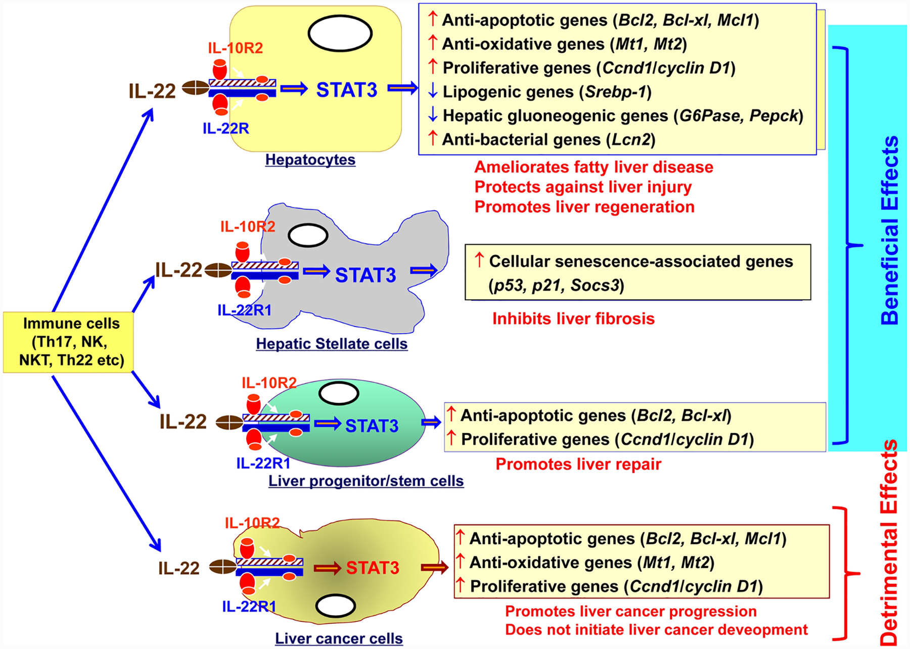 Figure 4: