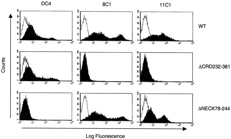 FIG. 8.