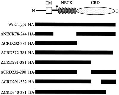 FIG. 7.