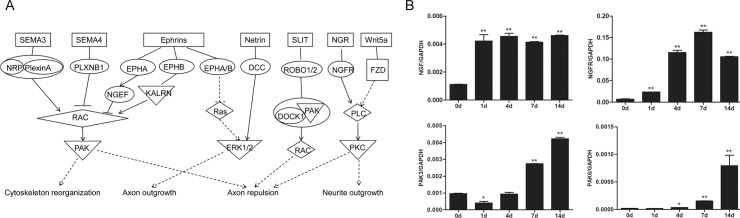 Fig 7