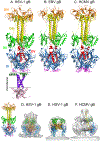 Fig. 6.